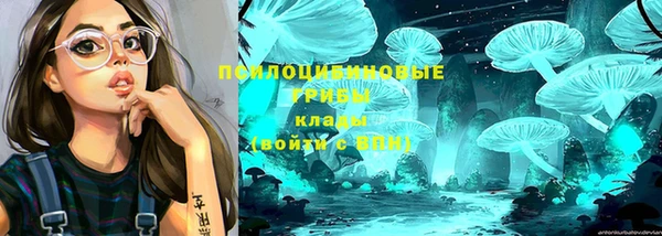 таблы Переславль-Залесский