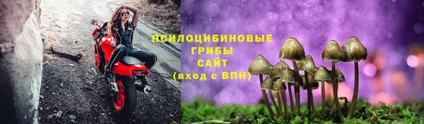 бошки Лихославль