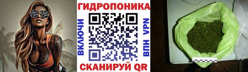 сколько стоит  Усмань  Бошки марихуана Ganja 